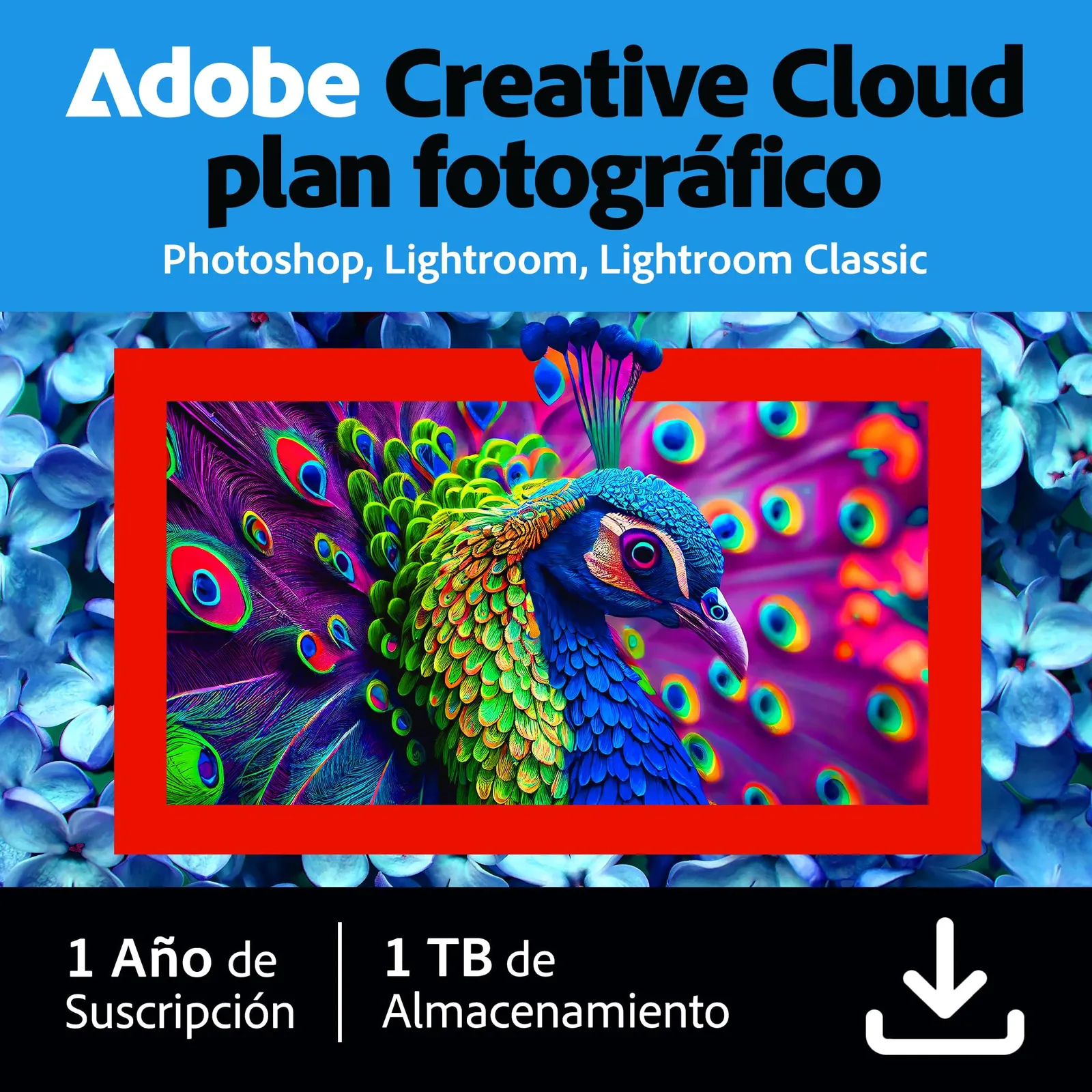 Adobe Photoshop Elements 2024 vs Corel PaintShop Pro 2023