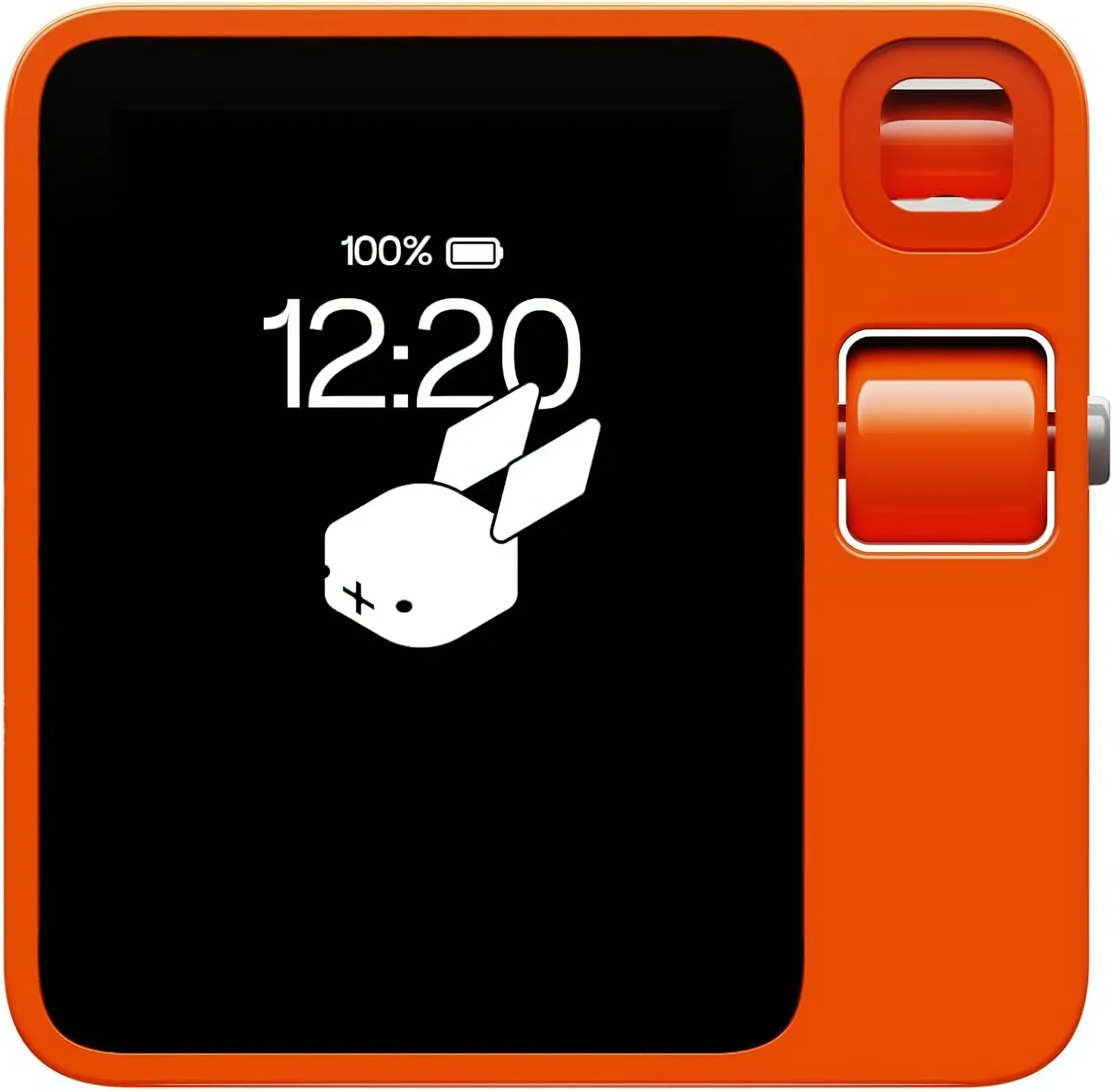 Rabbit R1